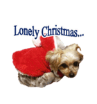 ヨーキー犬のクリスマス用スタンプ（英語）（個別スタンプ：11）