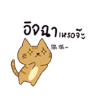 猫 : 友達が大好き（個別スタンプ：22）