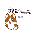 犬 : 友達が大好き（個別スタンプ：22）