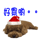 PARTY (MERRY CHRISTMAS)（個別スタンプ：12）