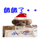 PARTY (MERRY CHRISTMAS)（個別スタンプ：17）