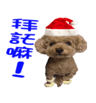 PARTY (MERRY CHRISTMAS)（個別スタンプ：24）