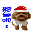 PARTY (MERRY CHRISTMAS)（個別スタンプ：25）