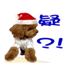 PARTY (MERRY CHRISTMAS)（個別スタンプ：37）