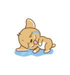 The golden retrieverPa Pa Pago（個別スタンプ：40）