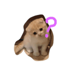ちゃんリタ（個別スタンプ：2）
