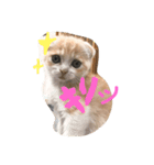 ちゃんリタ（個別スタンプ：3）