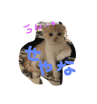 ちゃんリタ（個別スタンプ：6）
