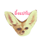 cute fennec fox（個別スタンプ：3）