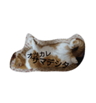 messagefromkai（個別スタンプ：14）