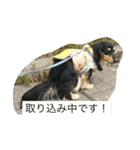 かわいいダックスフント（個別スタンプ：14）