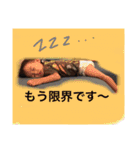 いっちゅんとぱるる（個別スタンプ：11）