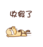 WHO CAREs Cat 4（個別スタンプ：24）