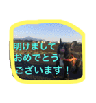 あけおめ！しうば（個別スタンプ：12）