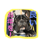 あけおめ！しうば（個別スタンプ：16）