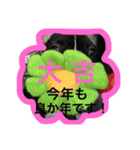 あけおめ！しうば（個別スタンプ：24）