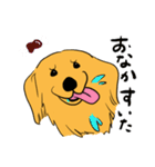 Japan Golden Retrievers stamps（個別スタンプ：15）