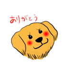 Japan Golden Retrievers stamps（個別スタンプ：18）