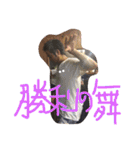 MIC +4（個別スタンプ：20）