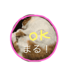 みんのかわいいこ（個別スタンプ：12）