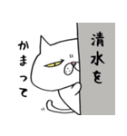 ブサ猫名前スタンプ【清水編】（個別スタンプ：13）