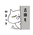 ブサ猫名前スタンプ【吉田編】（個別スタンプ：13）