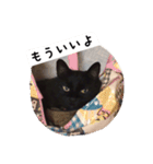 でか猫2（個別スタンプ：16）