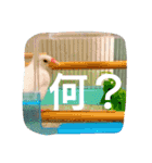 白文鳥のおいりちゃん2（個別スタンプ：17）