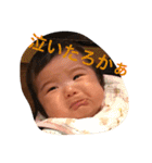 KOtOstamp2（個別スタンプ：20）