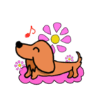 Stamps of Dachshund（個別スタンプ：2）