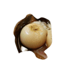 nagashimafood（個別スタンプ：2）