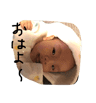 babyboy HARU doyasa（個別スタンプ：9）