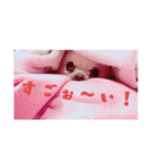 IlovePrettychihuahua（個別スタンプ：8）