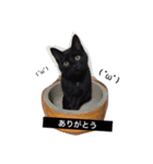 黒い猫うにまる₍˄·͈༝·͈˄₎（個別スタンプ：7）