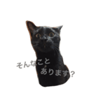 黒い猫うにまる₍˄·͈༝·͈˄₎（個別スタンプ：12）