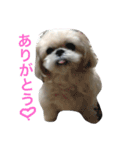 ラブリー リン 3（個別スタンプ：3）