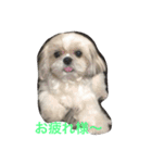 ラブリー リン 3（個別スタンプ：5）