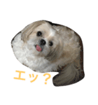 ラブリー リン 3（個別スタンプ：10）