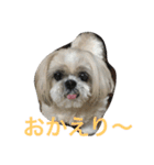ラブリー リン 3（個別スタンプ：12）