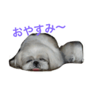 ラブリー リン 3（個別スタンプ：14）