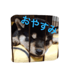 ふくぅぅぅ（個別スタンプ：5）