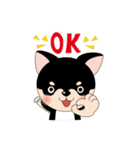 くろチワワのまめちゃんスタンプ♪NO.2（個別スタンプ：6）