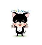 くろチワワのまめちゃんスタンプ♪NO.2（個別スタンプ：18）