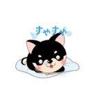 くろチワワのまめちゃんスタンプ♪NO.2（個別スタンプ：27）