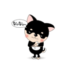 くろチワワのまめちゃんスタンプ♪NO.2（個別スタンプ：31）