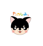 くろチワワのまめちゃんスタンプ♪NO.2（個別スタンプ：38）