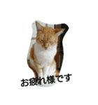 L＆C（個別スタンプ：9）