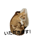 L＆C（個別スタンプ：12）