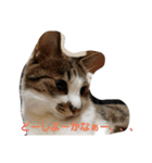 銀太＆海音2（個別スタンプ：3）