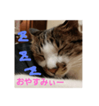 銀太＆海音2（個別スタンプ：4）